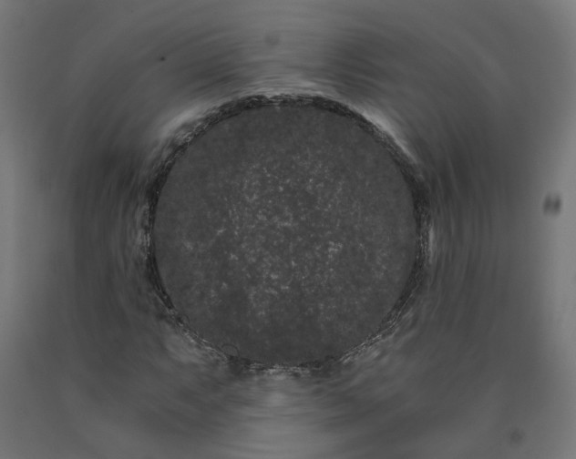 X0000090721063200708031455