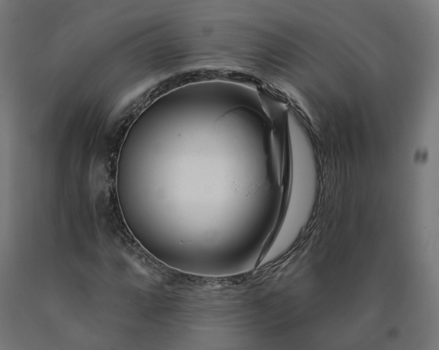 X0000090721064200708031455