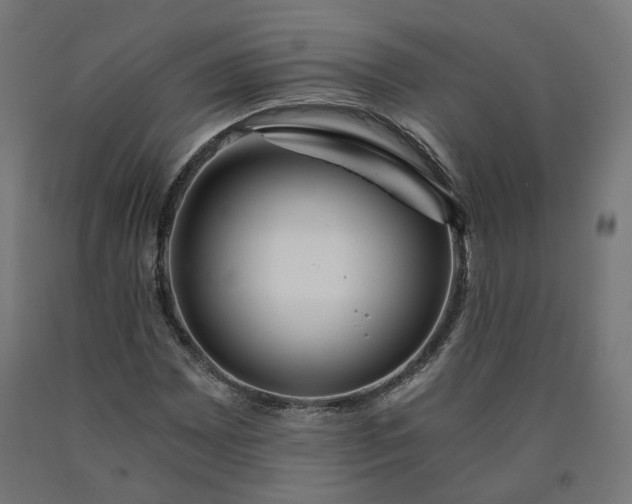 X0000090721065200708031455