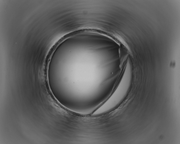 X0000090721068200708031455