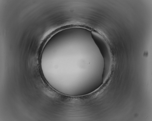 X0000090721070200708031455
