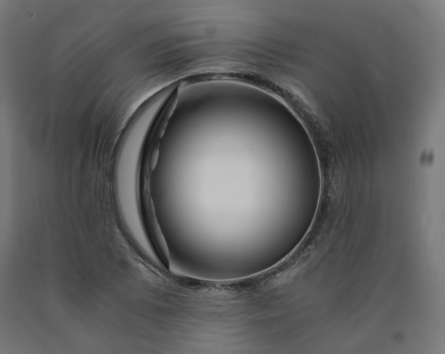 X0000090721073200708031455
