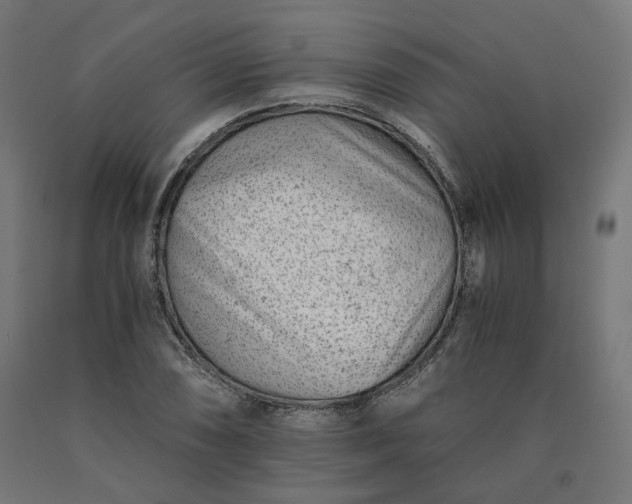 X0000090721074200708031455