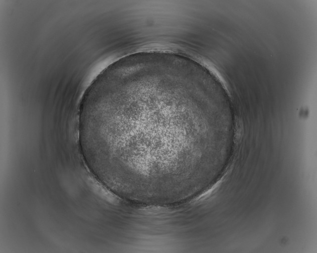 X0000090721075200708031455
