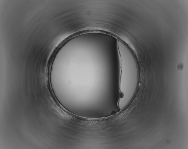 X0000090721076200708031455