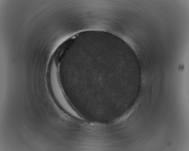 X0000090721077200708031455