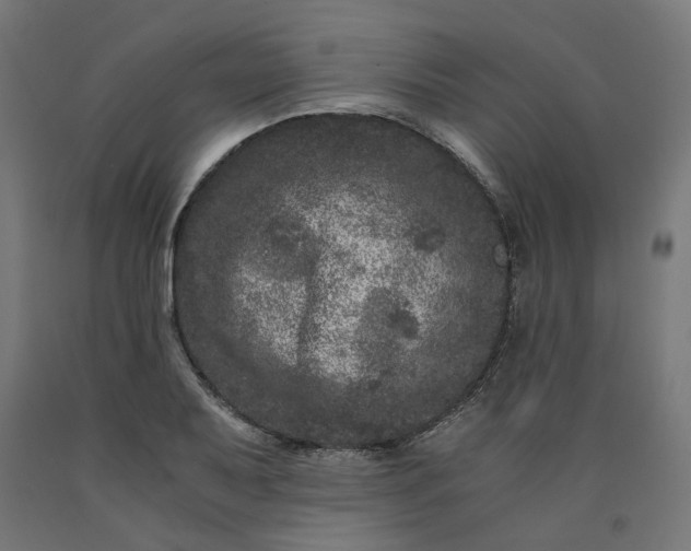 X0000090721079200708031455