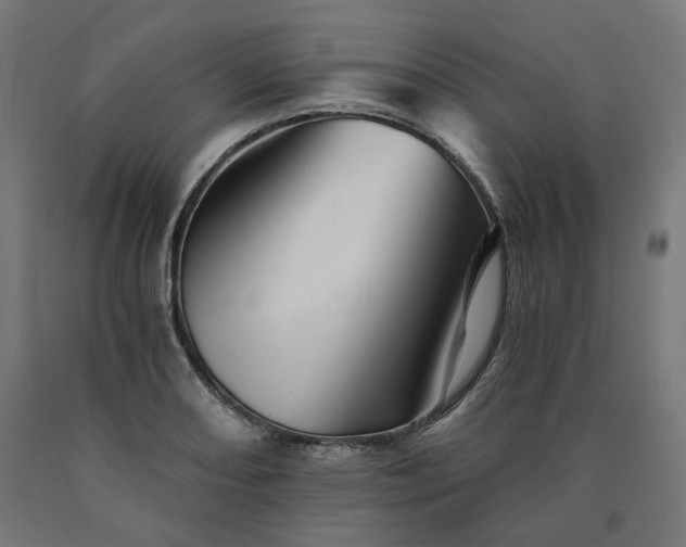 X0000090721082200708031455