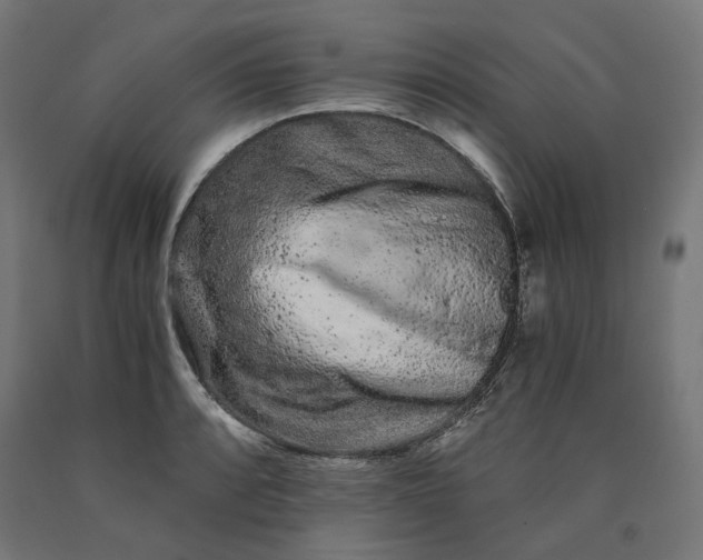 X0000090721088200708031455