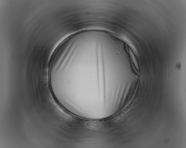 X0000090721092200708031455