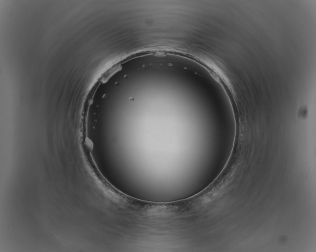X0000090721093200708031455