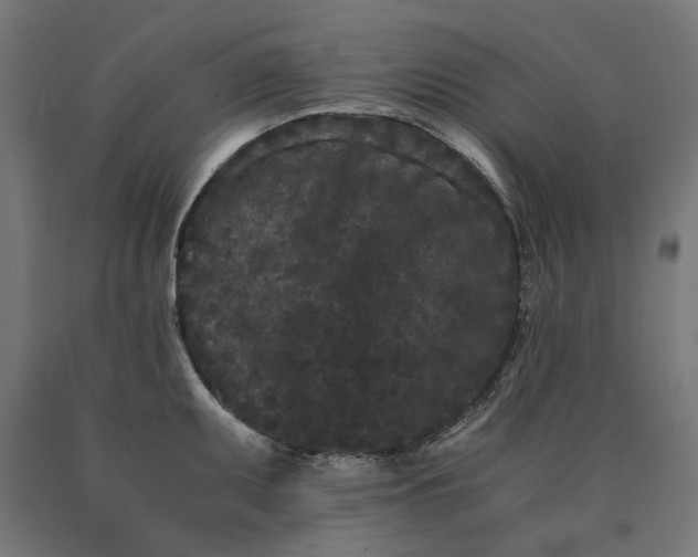 X0000090721095200708031455
