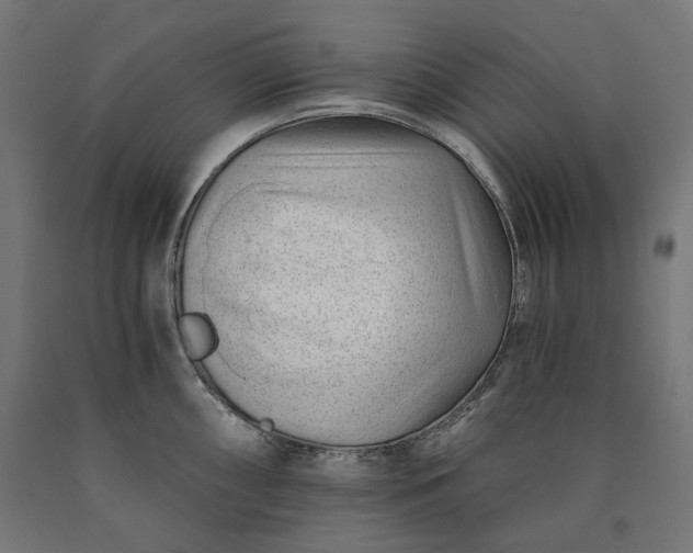 X0000090721098200708031455