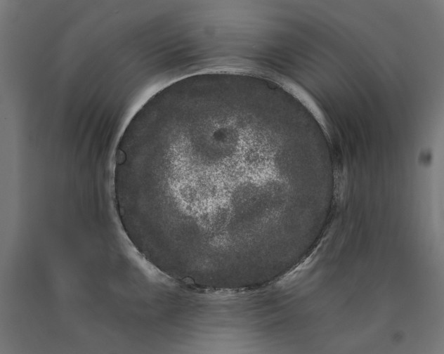 X0000090721099200708031455