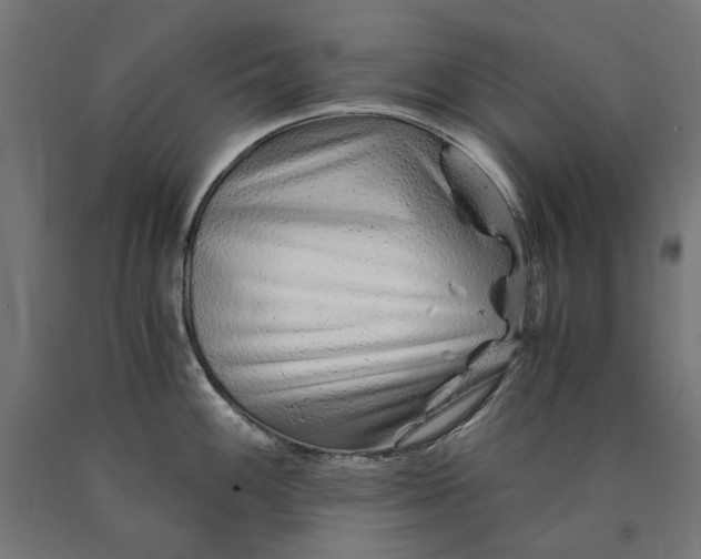 X0000090721100200708031455