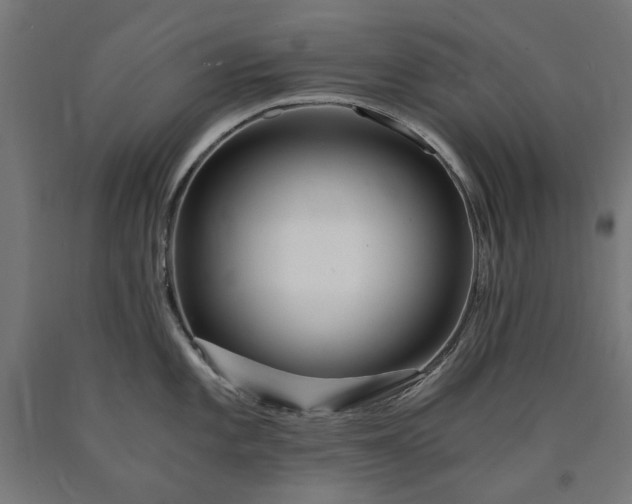 X0000090721101200708031455