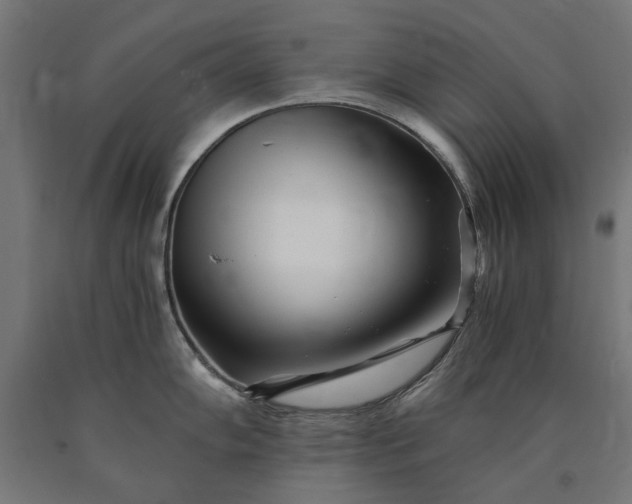 X0000090721102200708031455