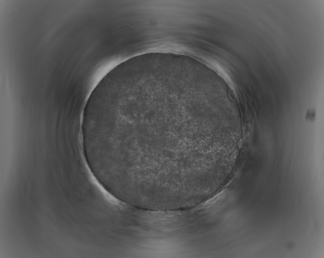 X0000090721103200708031455