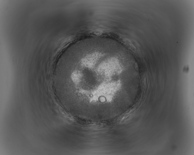 X0000090721105200708031454