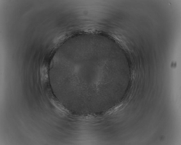 X0000090721106200708031454