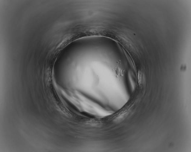 X0000090721107200708031454