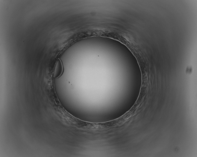 X0000090721109200708031454