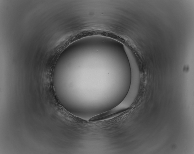 X0000090721110200708031454