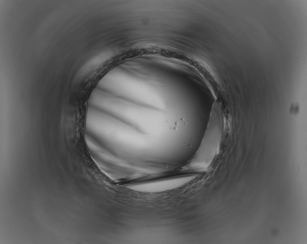 X0000090721111200708031454