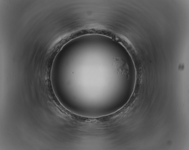 X0000090721112200708031454