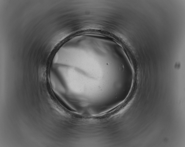 X0000090721113200708031454