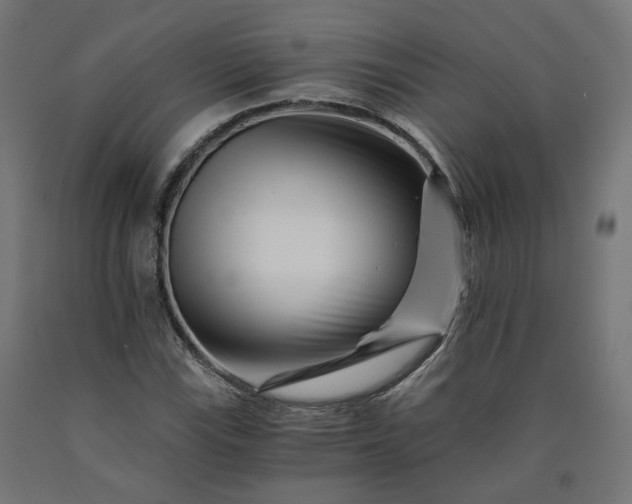 X0000090721115200708031454
