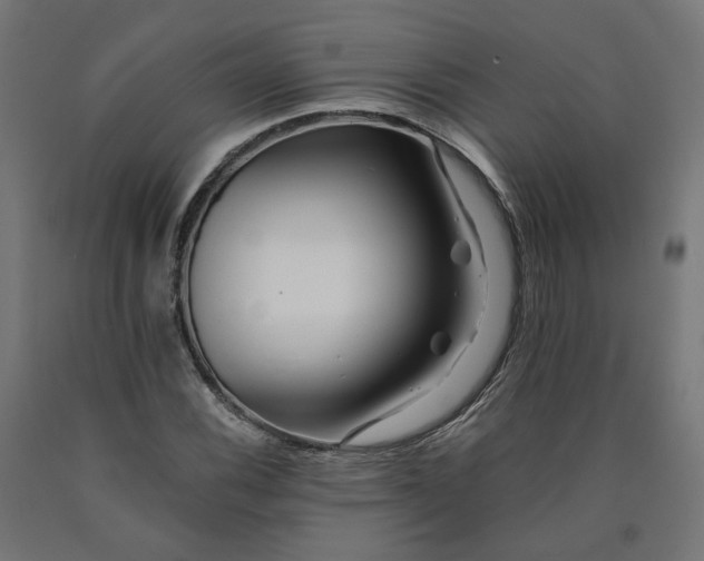 X0000090721116200708031454