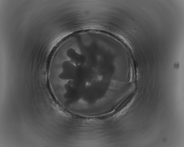 X0000090721117200708031454