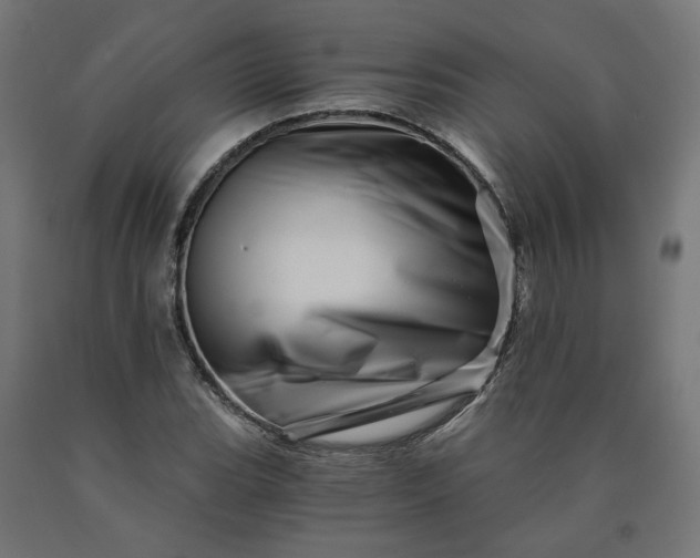 X0000090721119200708031454