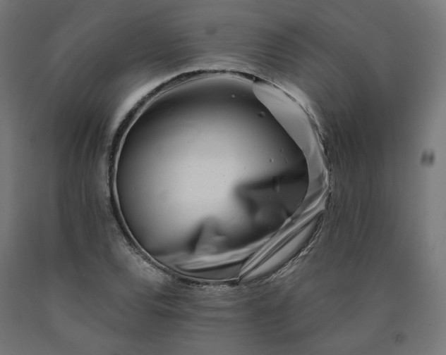 X0000090721120200708031454