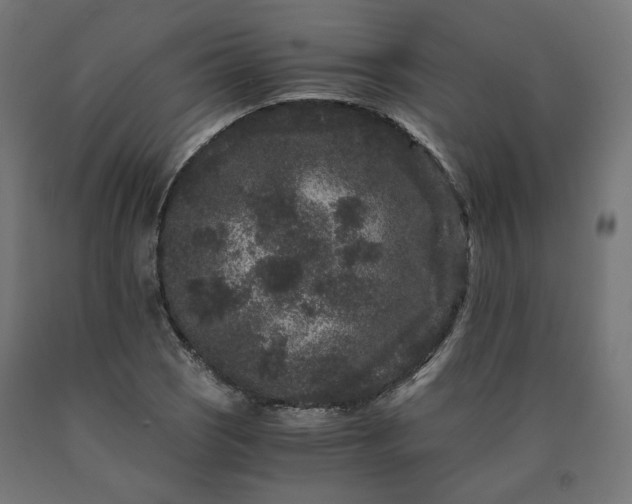 X0000090721121200708031454