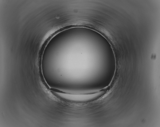X0000090721122200708031454