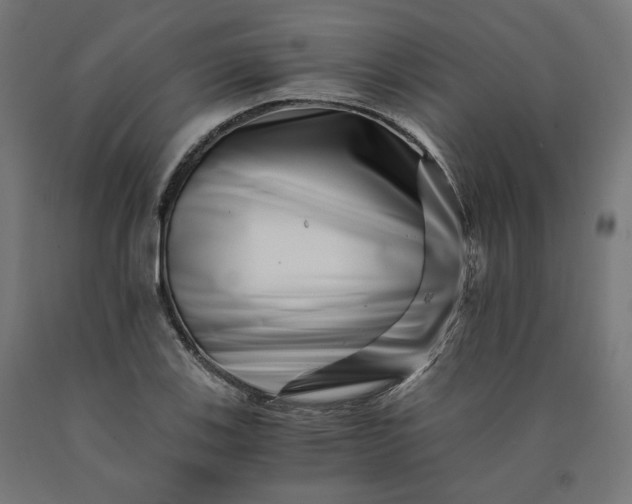 X0000090721123200708031454