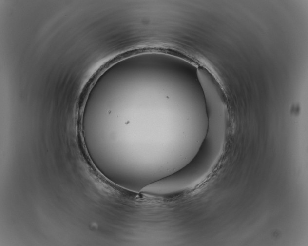 X0000090721124200708031454