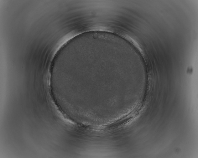 X0000090721125200708031454