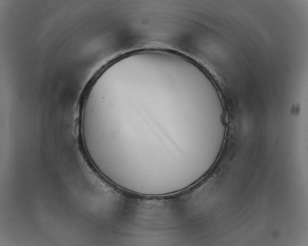 X0000090721126200708031454