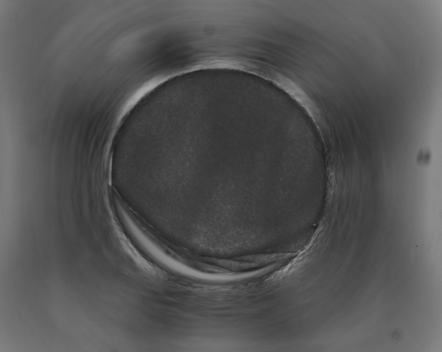 X0000090721127200708031454