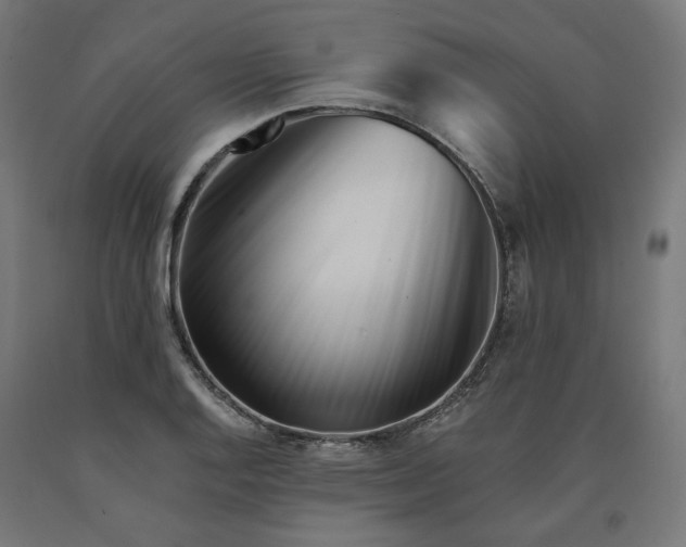 X0000090721128200708031454