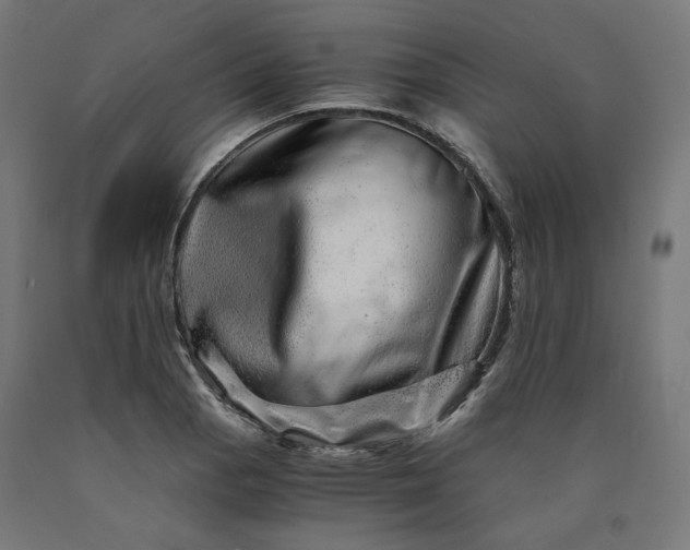 X0000090721129200708031454