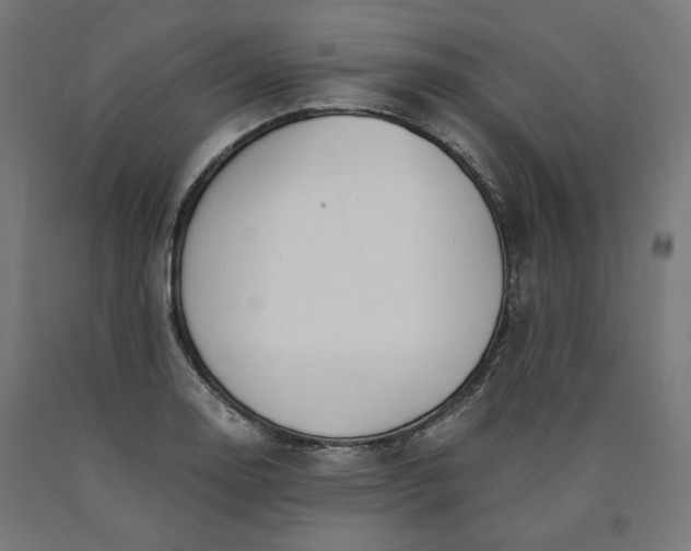 X0000090721130200708031454