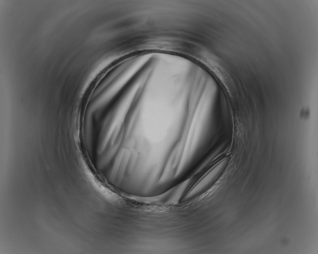 X0000090721131200708031455