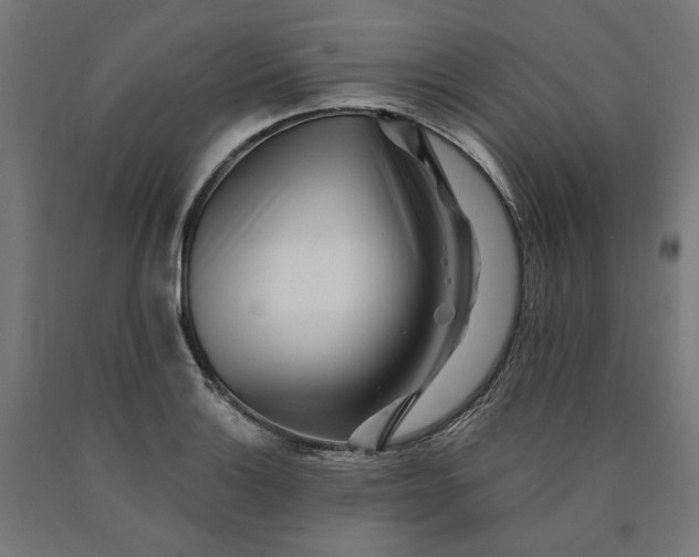 X0000090721132200708031455