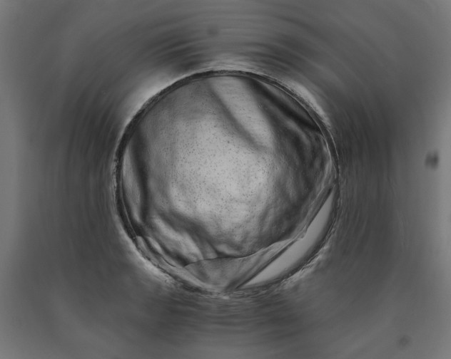 X0000090721133200708031455