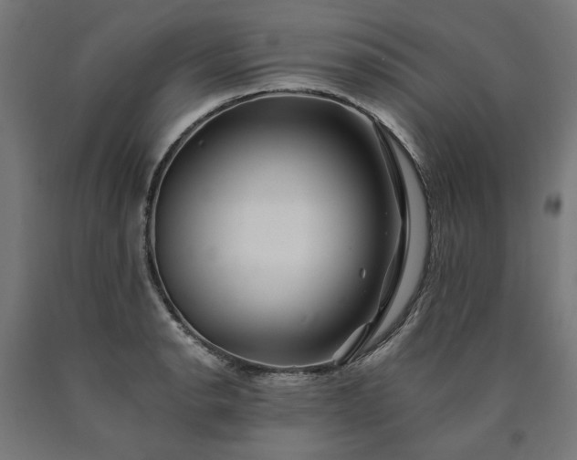 X0000090721134200708031455