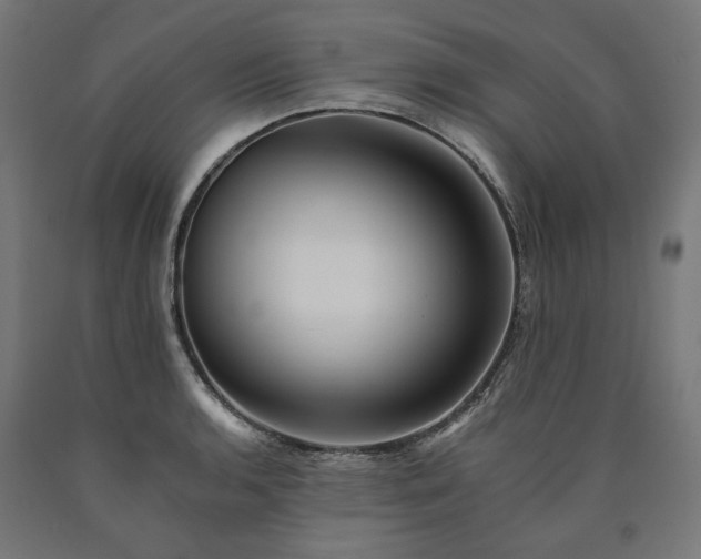 X0000090721136200708031455